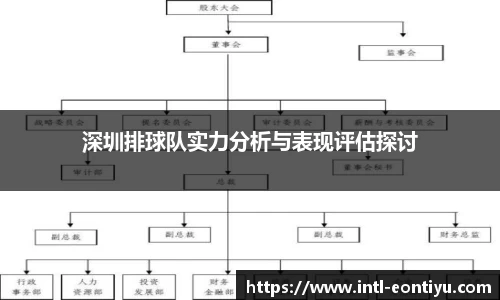 深圳排球队实力分析与表现评估探讨